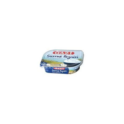 GAZI 42 A TARTINER 200G