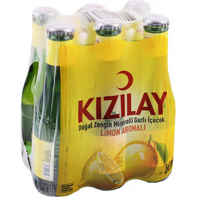 6X MADEN SUYU LIMON