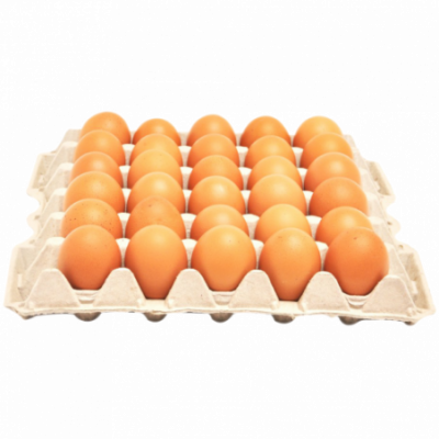 30 OEUFS FRAIS